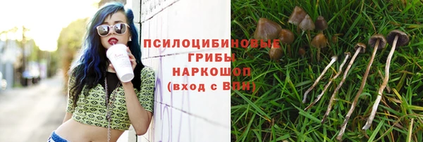 мдма Краснослободск