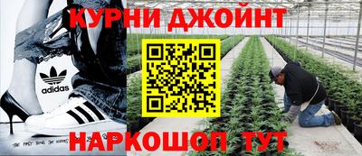 ПСИЛОЦИБИНОВЫЕ ГРИБЫ Аргун