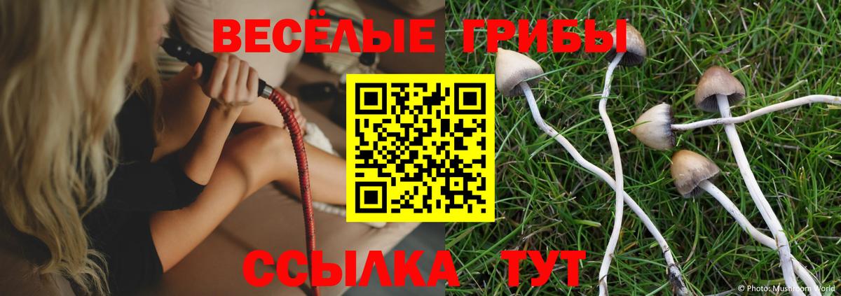 Михайловка  Псилоцибиновые грибы MAGIC MUSHROOMS  Вход с VPN 