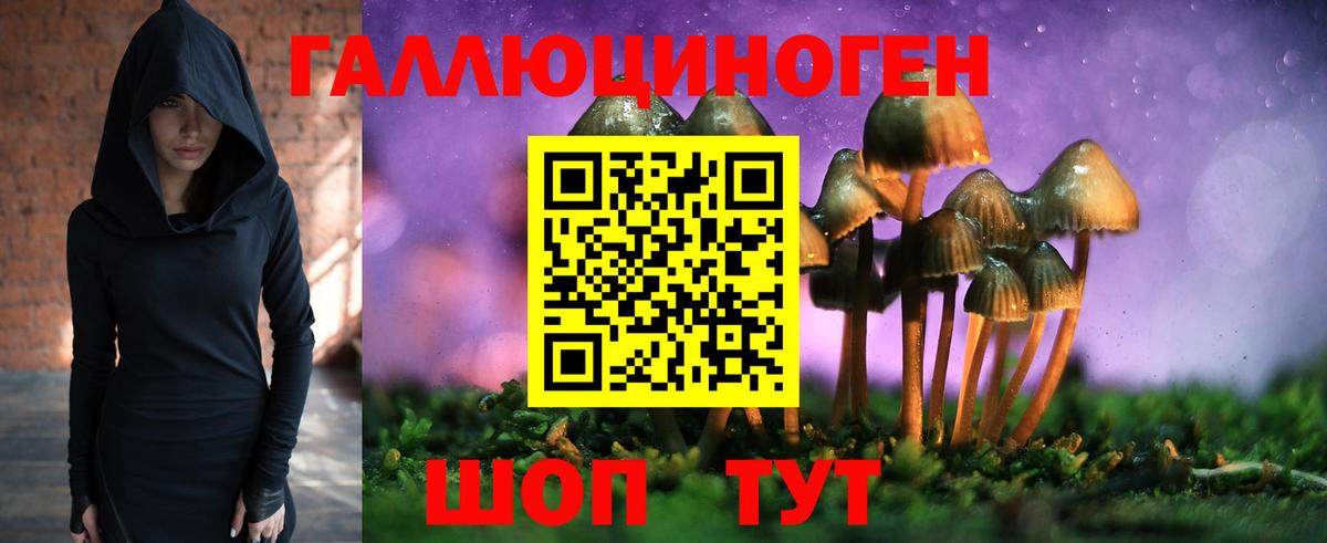 Галлюциногенные грибы мицелий Михайловка